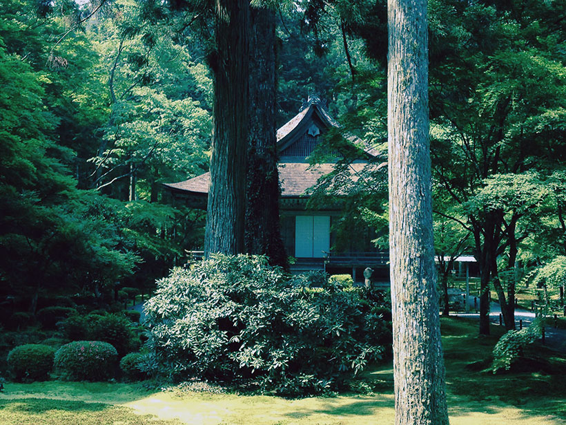gallery17